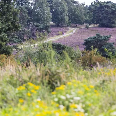 De Met Veranda Bij Brunssummerheide!
