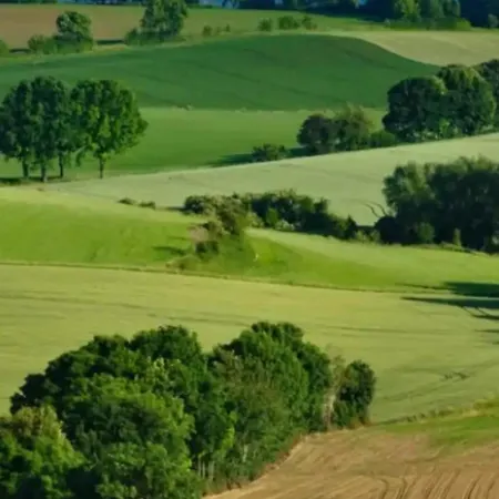 De Met Veranda Bij Brunssummerheide!