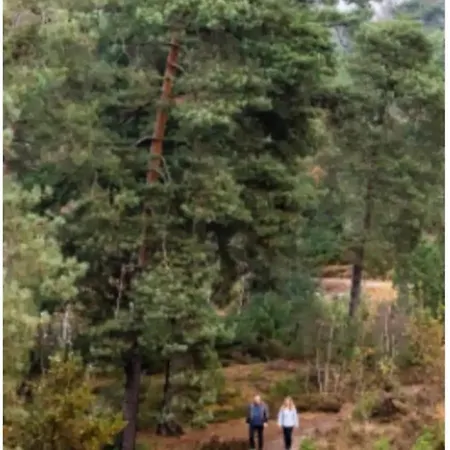 De Met Veranda Bij Brunssummerheide!