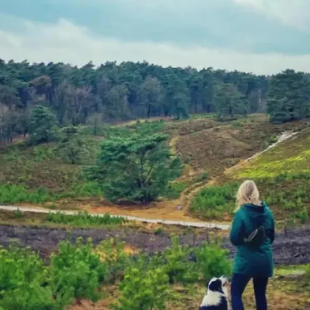 Campsite De Met Veranda Bij Brunssummerheide! *