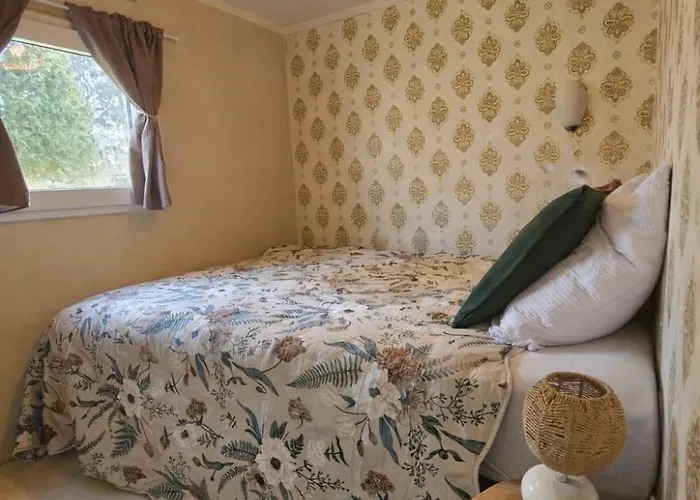 De Met Veranda Bij Brunssummerheide! * ヘールレン