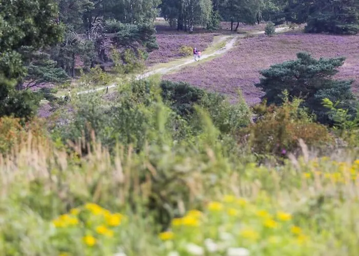 De Met Veranda Bij Brunssummerheide!