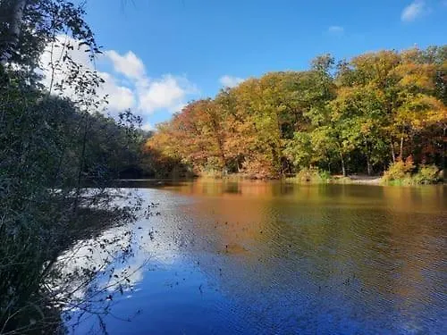 De Met Veranda Bij Brunssummerheide! 营地