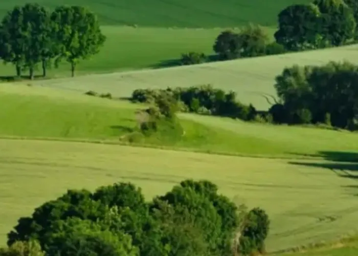 De Met Veranda Bij Brunssummerheide!