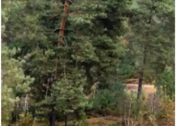 De Met Veranda Bij Brunssummerheide!